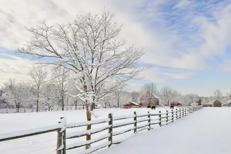 snow