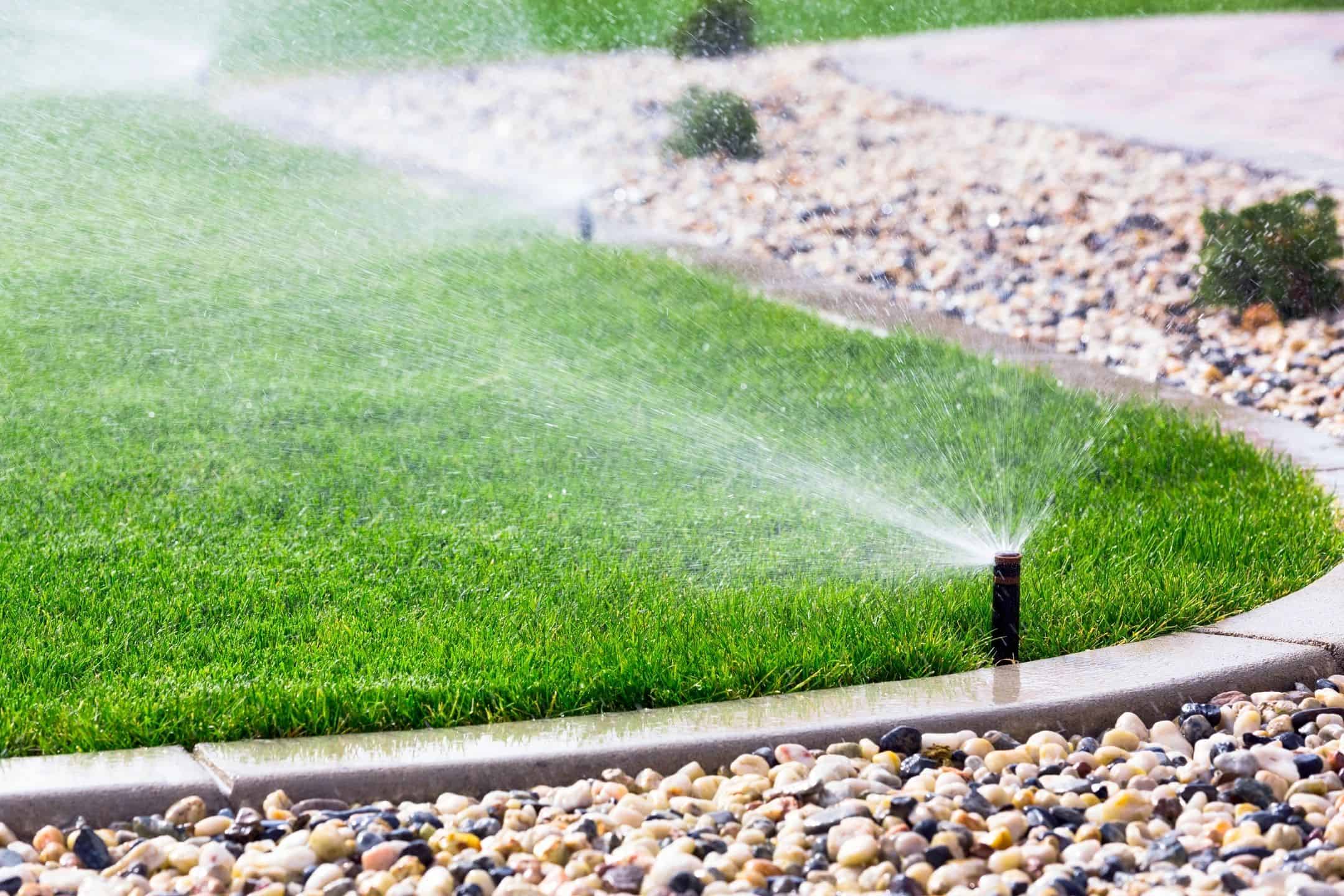 Yard Sprinkler System
