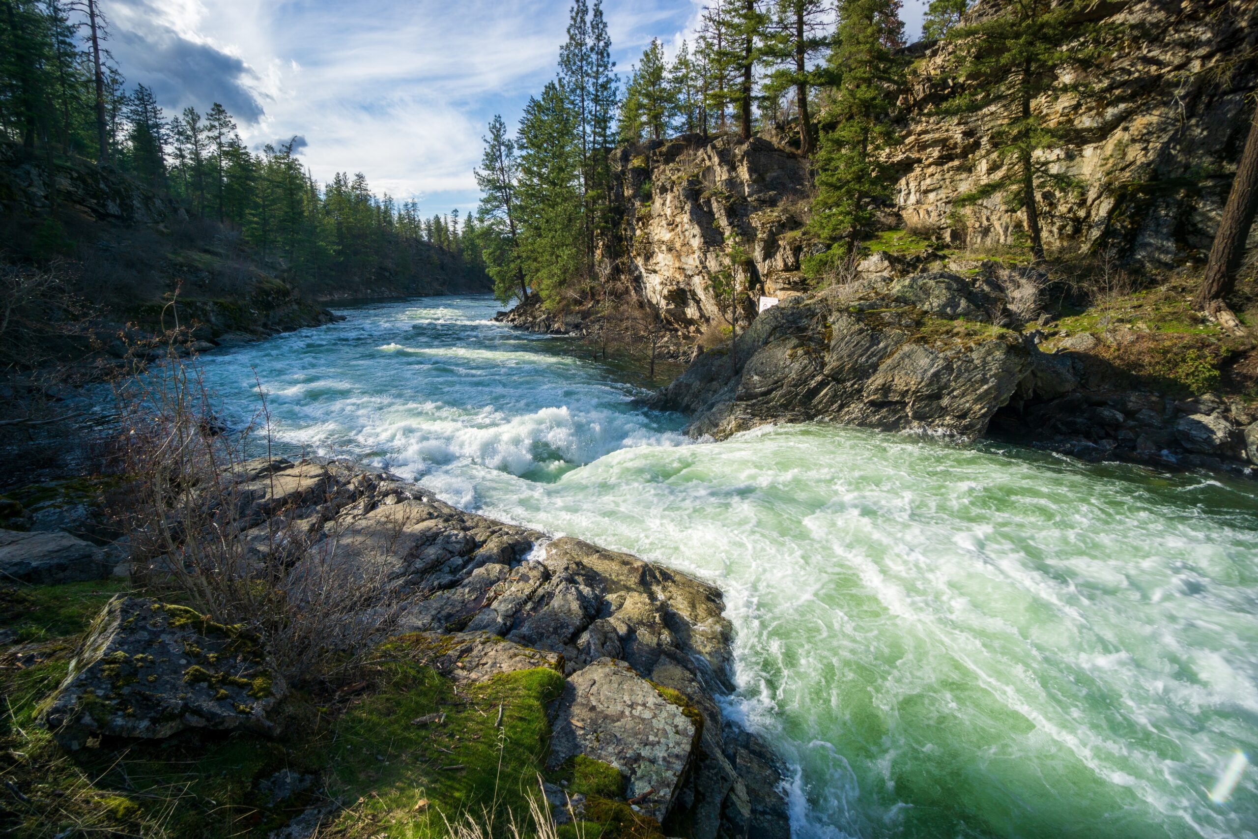Spokane river flowing strong in the Springtime